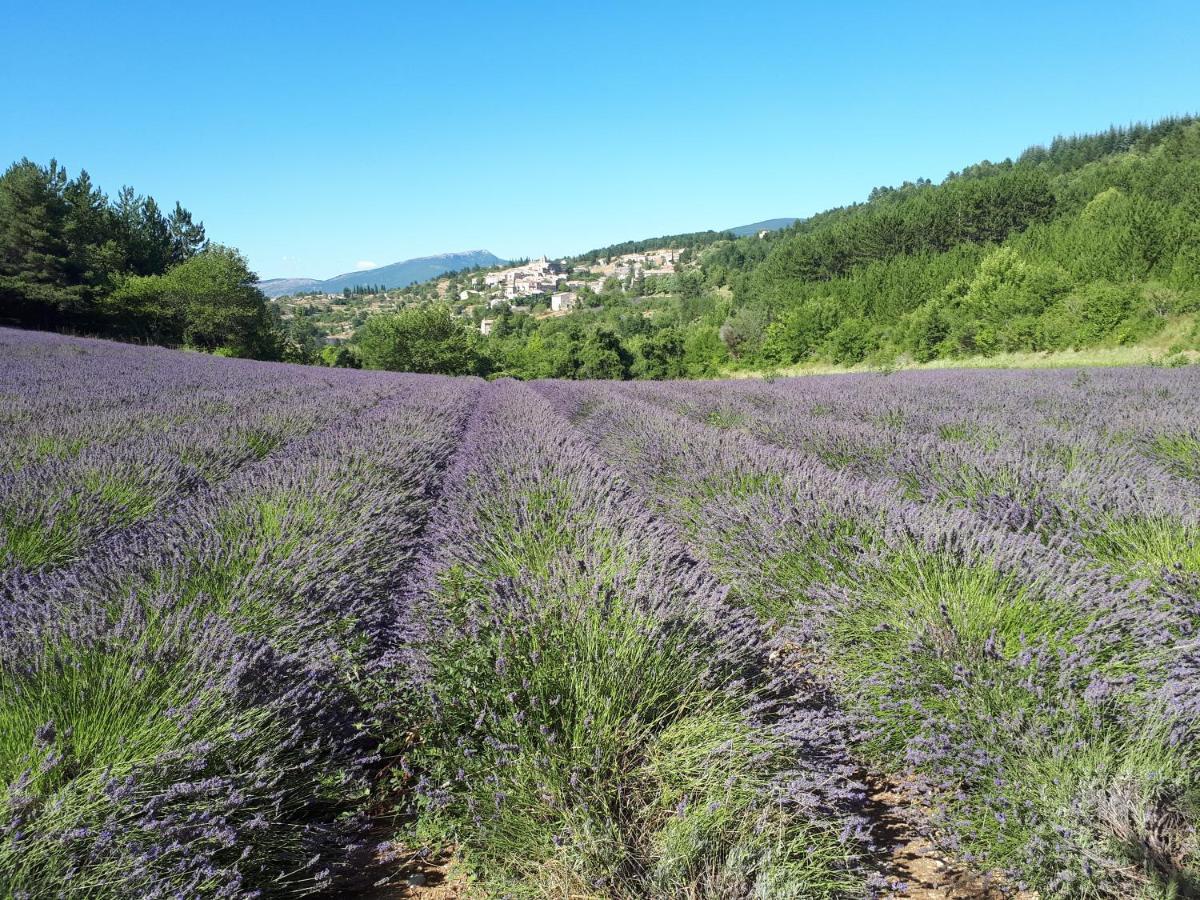 Gite Dentelles Loriol-du-Comtat Exterior photo